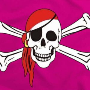 Bandera Pirata Rosa Provocador