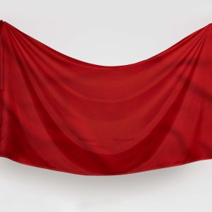 bandera pirata roja
