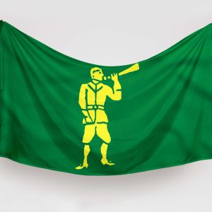 bandera pirata verde