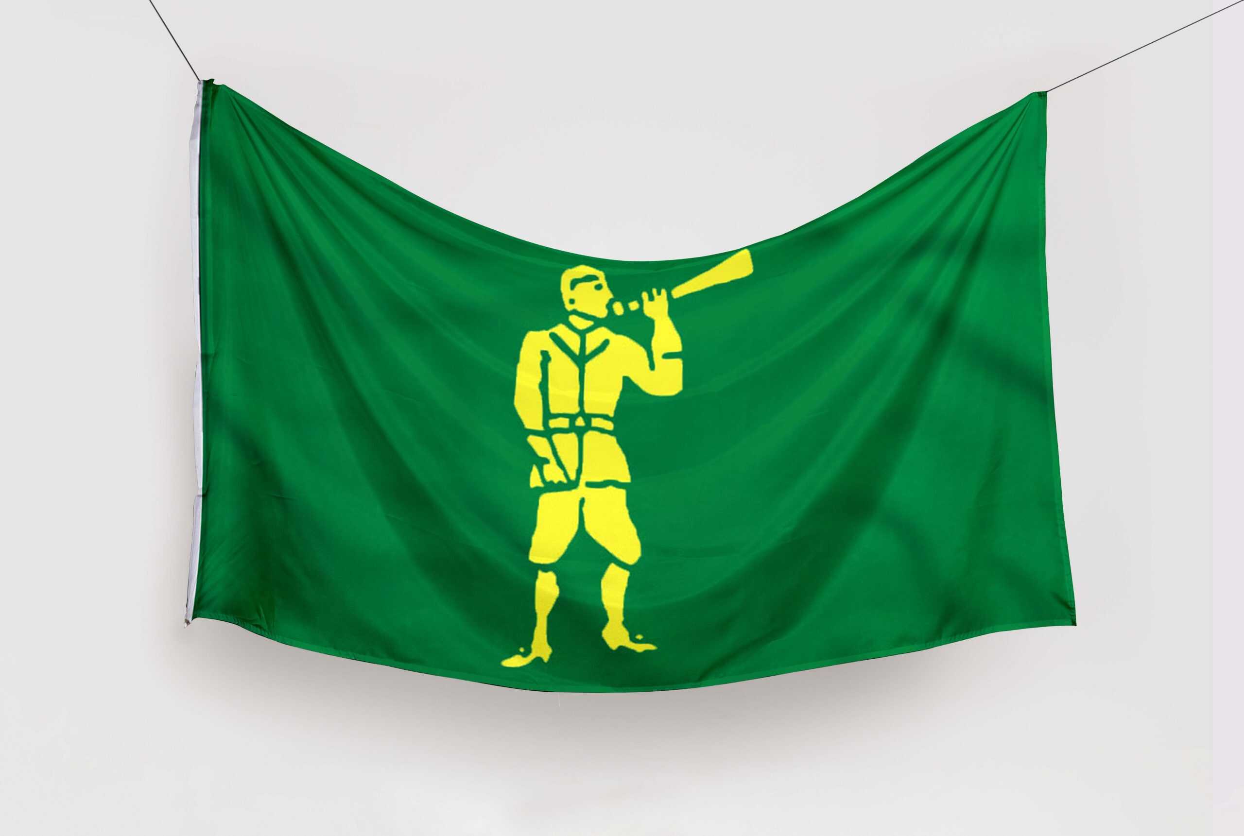 bandera pirata verde bandera pirata verde