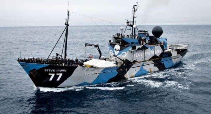 barco pirata sea shepherd