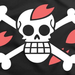 jolly roger tony tony chopper one piece