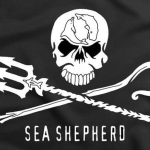 simbolo sea sephered