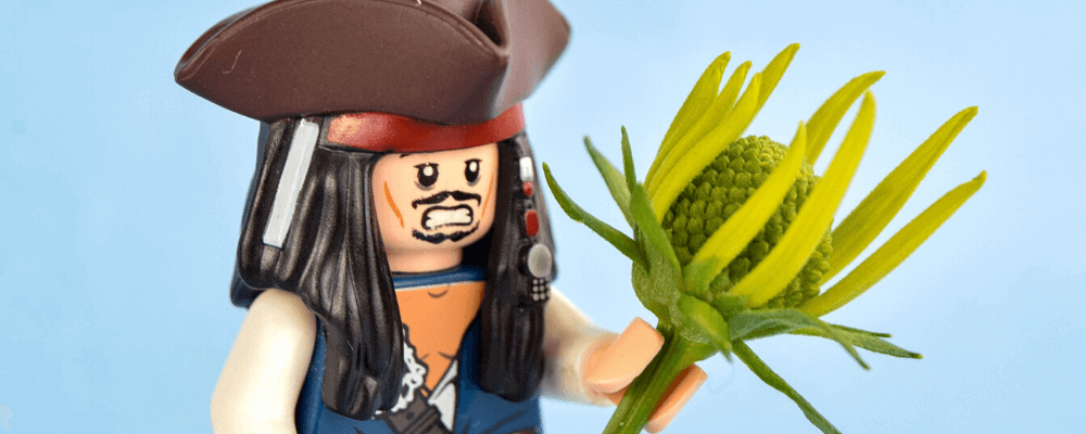 12 EL MARINERO PIrata