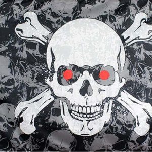 Jolly-Roger-Calavera-Pirata