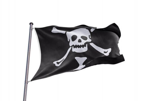 Jolly Roger de Emmanuel Wynne