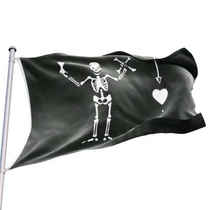 bandera pirata negra