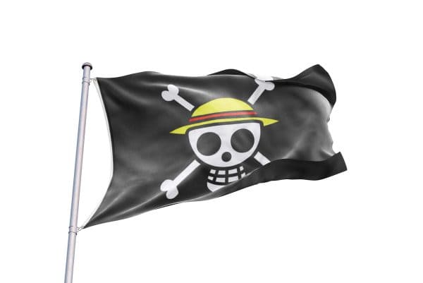 bandera pirata sombrero de paja