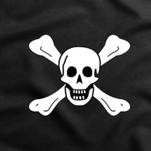 Bandera pirata del mar por Richard Worley