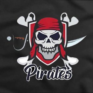 Bandera-Pirata-Moderna