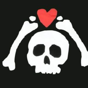 bandera carabela pirata