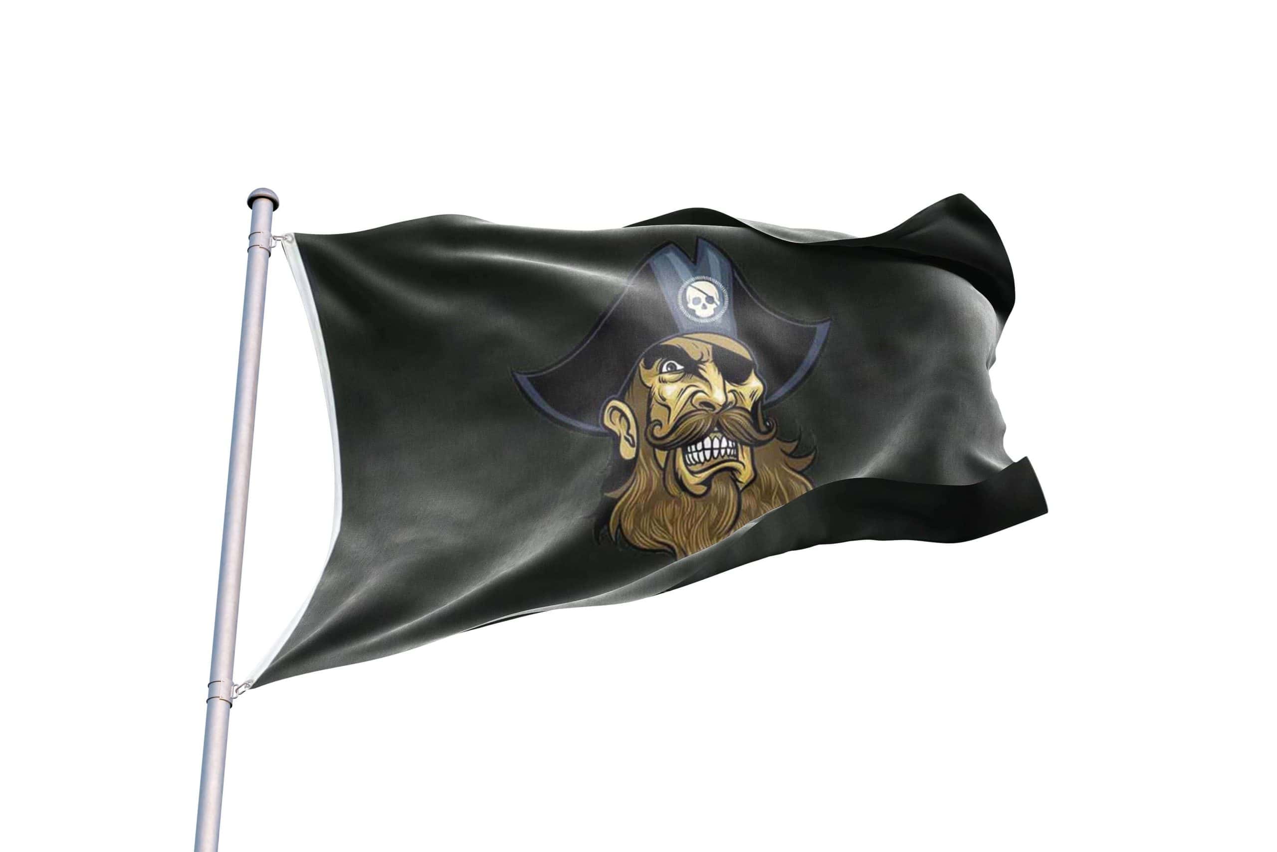 bandera de jake y los piratas bandera de jake y los piratas