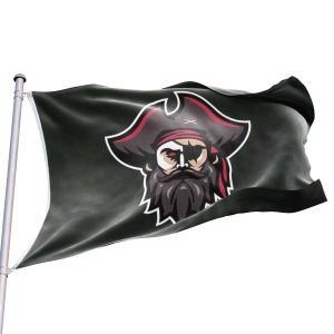 bandera pirata cartoon