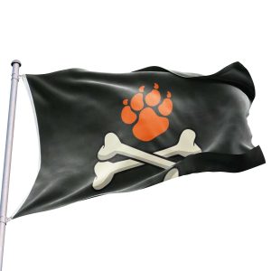 bandera pirata gato